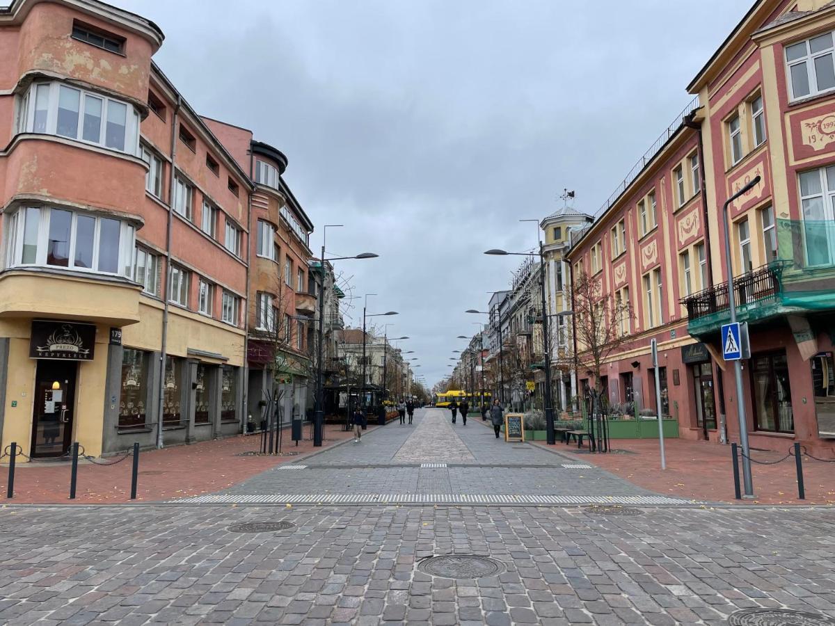 Jaukus Apartamentai Miesto Centre Apartman Šiauliai Kültér fotó